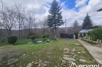 Teren Intravilan de vanzare BREBU - Prahova anunturi imobiliare Prahova