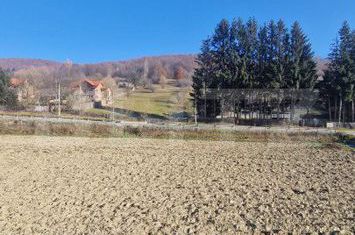 Teren de vanzare BRASOV - Brasov anunturi imobiliare Brasov
