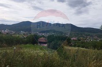 TEREN INTRAVILAN 2900 mp ȘIMLEU SILVANIEI/ Str. Corneliu Coposu/Sălaj anunturi imobiliare Salaj