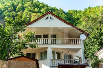Vilă - 6 camere de vanzare TEIUS - Alba anunturi imobiliare Alba