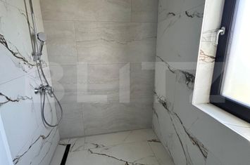 Vilă - 5 camere de vanzare MEHALA - Timis anunturi imobiliare Timis