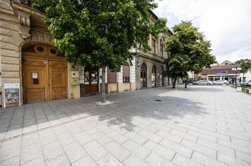 Apartament ideal pentru tineri, în Piața Catedralei, Arad. anunturi imobiliare Arad