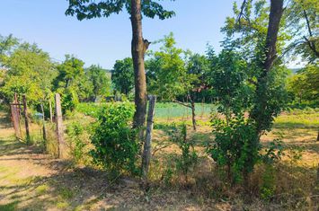 Casă - 2 camere de vanzare CEHU SILVANIEI - Salaj anunturi imobiliare Salaj