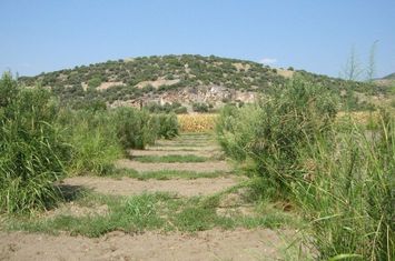 Teren agricol 4000 mp cu construcție 300 mp în Nea Karvali anunturi imobiliare Grecia