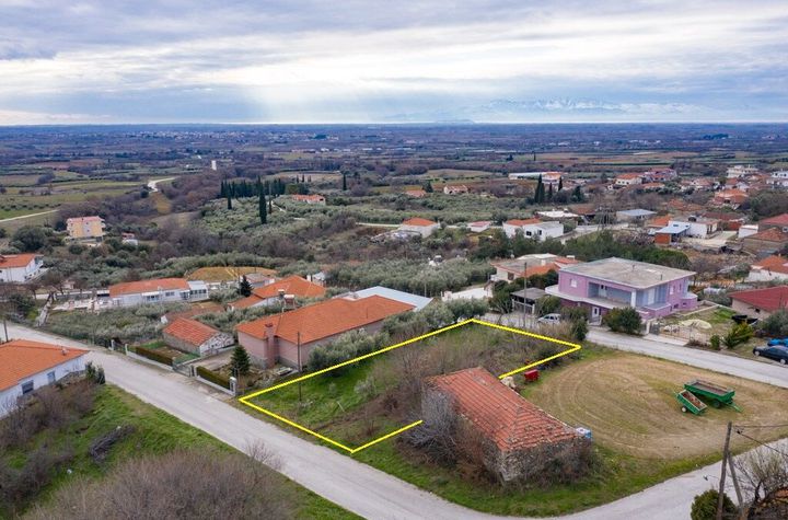Teren construibil 506 mp în Gerontas (Nestos) anunturi imobiliare Grecia
