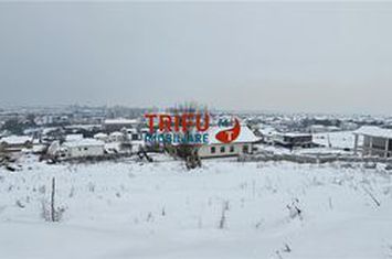 Teren Intravilan de vanzare CETATE - Alba anunturi imobiliare Alba