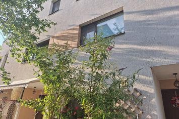 CASA DUPLEX P+1+M- SOS OLTENITEI anunturi imobiliare Bucuresti