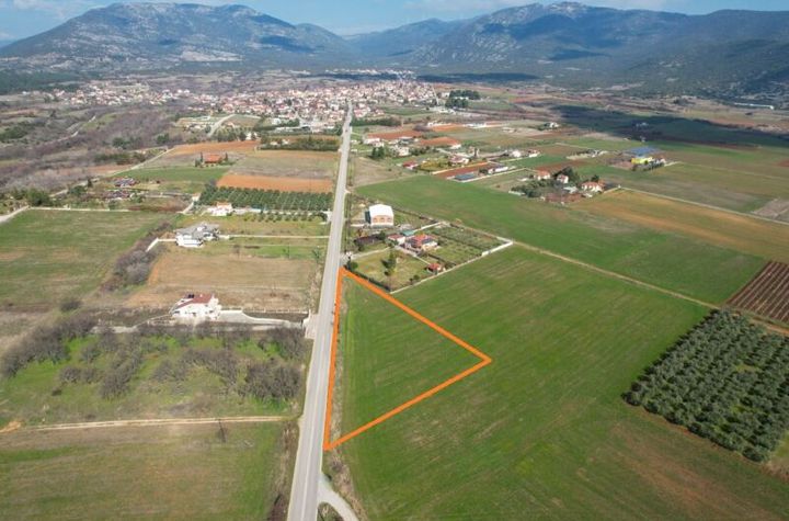 Teren construibil 5.150 mp în Kallifitos, Drama anunturi imobiliare Grecia