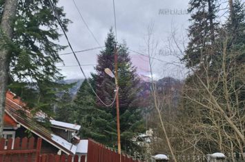 Vilă de vânzare in Sinaia - Zona Cumpătu anunturi imobiliare Prahova