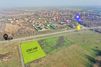 Vanzare | Teren industrial | 2385 MP | Apa Curent Canal | Mosnita Noua anunturi imobiliare Timis