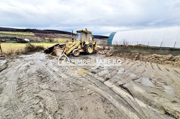 Ocazie Teren Intravilan 3.700 mp. 18 euro mp anunturi imobiliare Mures