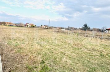 Teren de vanzare STUPINI - Brasov anunturi imobiliare Brasov