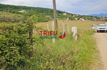 Teren Intravilan de vanzare CENTRAL - Alba anunturi imobiliare Alba