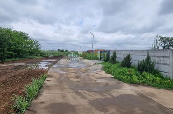 LOTURI REZIDENTIALE POPESTI LEORDENI - DIRECT DEZVOLTATOR! anunturi imobiliare Bucuresti