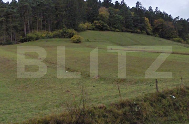 Teren de vanzare CODLEA - Brasov anunturi imobiliare Brasov