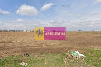 Teren Fundeni Dodroesti anunturi imobiliare Bucuresti