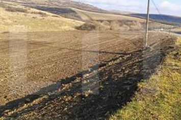 Teren de vanzare BORSA - Cluj anunturi imobiliare Cluj