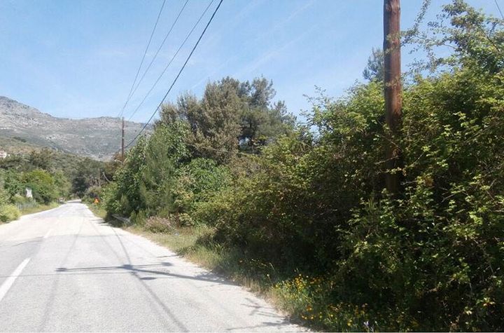 Teren construibil 6441 mp în Koinira, Thasos anunturi imobiliare Grecia