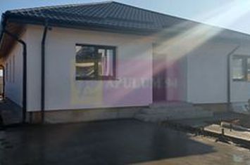 Săbăreni, casă parter 4 camere, CT, terasă, pivniță, teren 478 mp anunturi imobiliare Giurgiu