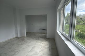 Vilă - 3 camere de vanzare SISESTI - Maramures anunturi imobiliare Maramures