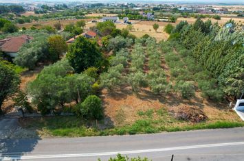 Teren construibil 1667 mp în Choristi, Drama anunturi imobiliare Grecia