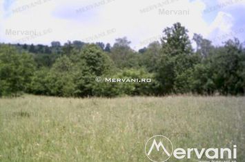 Teren Intravilan de vanzare VOILA - Prahova anunturi imobiliare Prahova