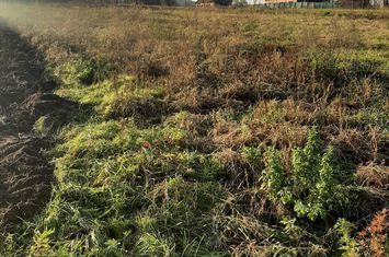 Teren intravilan în Ususău anunturi imobiliare Arad