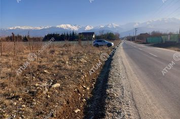 Teren Intravilan de vanzare AVRIG - Sibiu anunturi imobiliare Sibiu