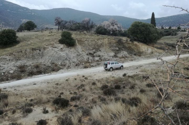 Teren 8.164 mp în Ekali (Zarkadia), Nestou anunturi imobiliare Grecia