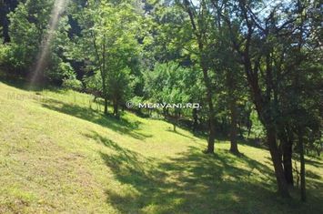 Teren de vânzare în Comarnic (zona Posada) anunturi imobiliare Prahova