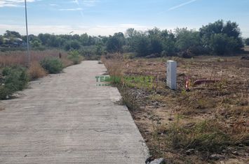 Vânzare loturi rezidențiale Popești-Leordeni/Frumușani anunturi imobiliare Bucuresti