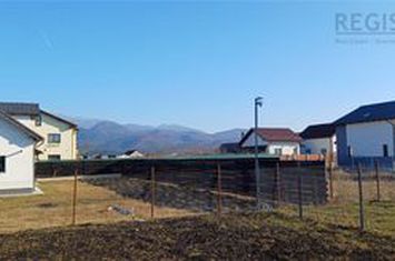 Casă - 4 camere de vanzare CRISTIAN - Brasov anunturi imobiliare Brasov