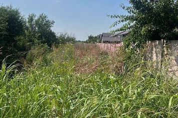 Teren Clinceni- Fortului- Ortansei. anunturi imobiliare Bucuresti