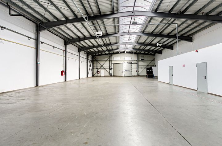Hală industrială 727 mp în Arad langă Autostrada A1 anunturi imobiliare Arad