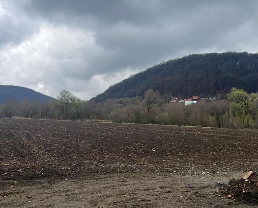 Teren Intravilan Albesti, 6700 mp