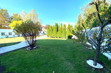 Villa with pool and generous garden, Iancu Nicolae, Cambridge School, anunturi imobiliare Bucuresti
