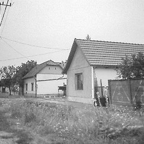 Afacerea "casa ungureasca" pentru romani merge ca unsa