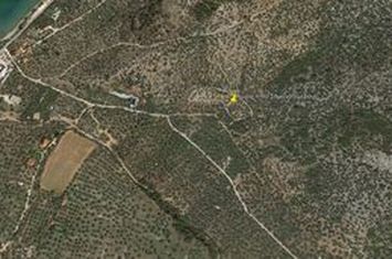 Teren agricol 4.138 mp în Skala Kallirachis (Vodnik) anunturi imobiliare Grecia