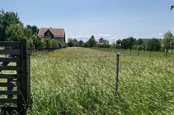 Teren de vanzare RADAUTI - Suceava anunturi imobiliare Suceava