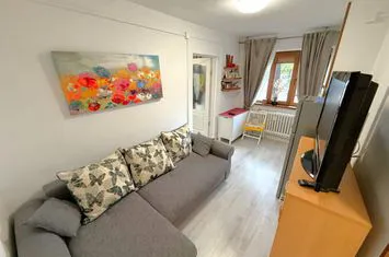 Apartament 2 camere de vanzare VALEA ROSIE - Dolj anunturi imobiliare Dolj