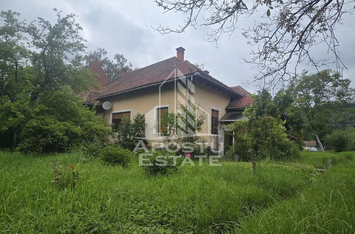 Proprietate cu potential turistic in Gurahont anunturi imobiliare Arad