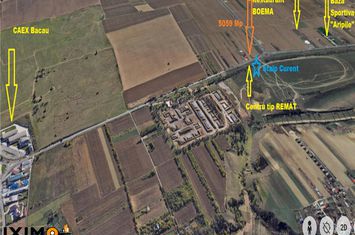 Teren Extravilan de vanzare MAGURA - Bacau anunturi imobiliare Bacau