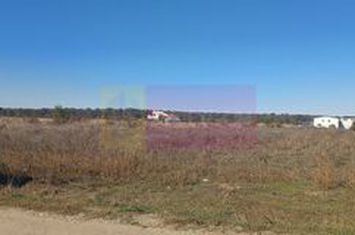 Săbăreni, teren rezidential 6290 mp, cu 52m FS, utilități in apropiere anunturi imobiliare Giurgiu