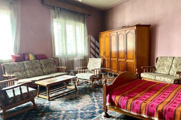 Casa de vanzare cu spatiu comercial si garaj,  zona centrala anunturi imobiliare Arad