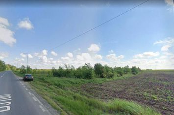 Teren de vanzare BRANESTI - Bucuresti anunturi imobiliare Bucuresti