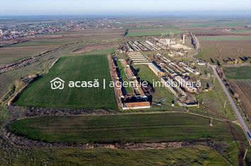 NĂDLAC | Teren 1.15 HA lângă Autostradă | 2.500mp Hale anunturi imobiliare Arad