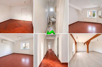 Spațiu comercial de inchiriat VASILE AARON - Sibiu anunturi imobiliare Sibiu