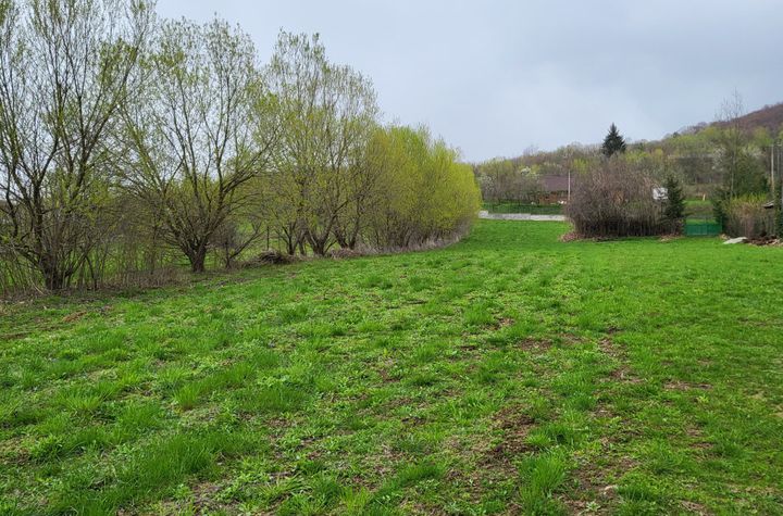 Teren de vanzare SEBESU DE SUS - Sibiu anunturi imobiliare Sibiu