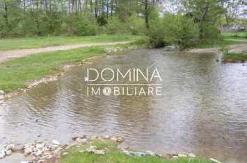 Teren de inchiriat RUNCU - Gorj anunturi imobiliare Gorj