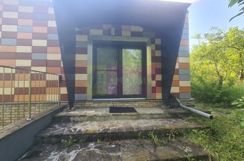 Vila de vanzare cu 6 camere in Cornu (teren 6.600 mp) anunturi imobiliare Prahova